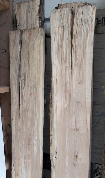 2026-05-09-02-spalted-beech_600.jpg