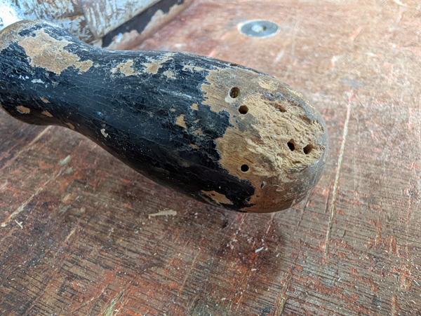 2026-05-22-03-woodworm_600.jpg