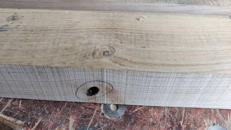 2025-06-08-19-knot-hole_800.jpg