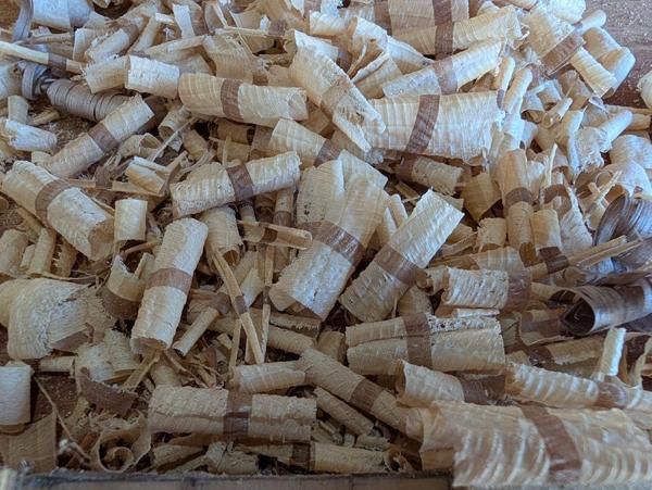 2026-08-07-26-funky-shavings_600.jpg