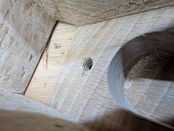 2026-03-29-18-threads-in-wood_600.jpg