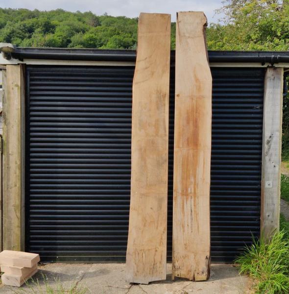 2025-06-21-01-two-sycamore-planks_600.jpg