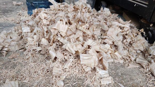 2025-07-05-12-mixed-shavings_600.jpg