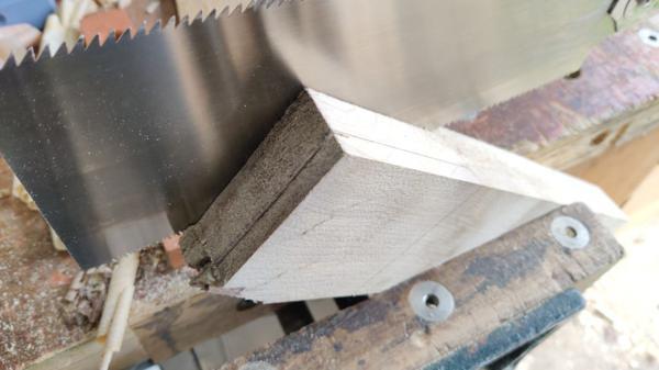 2025-08-03-09-sawing-cheeks_600.jpg