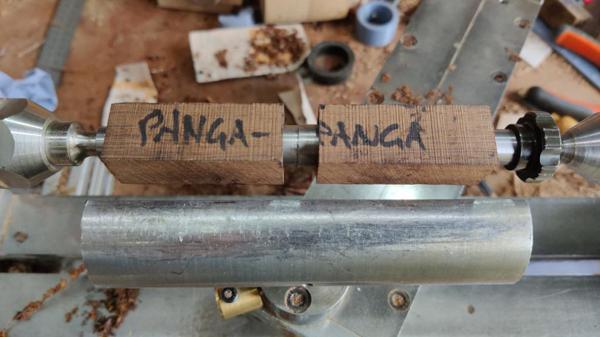 2025-03-21-01-panga-panga_600.jpg
