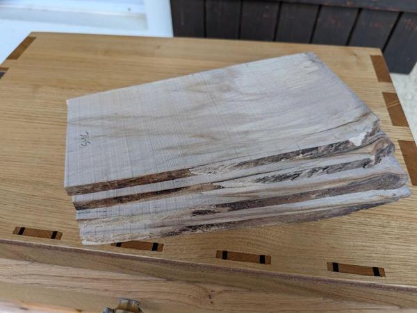 2025-09-09-02-sliced-up-sycamore_600.jpg