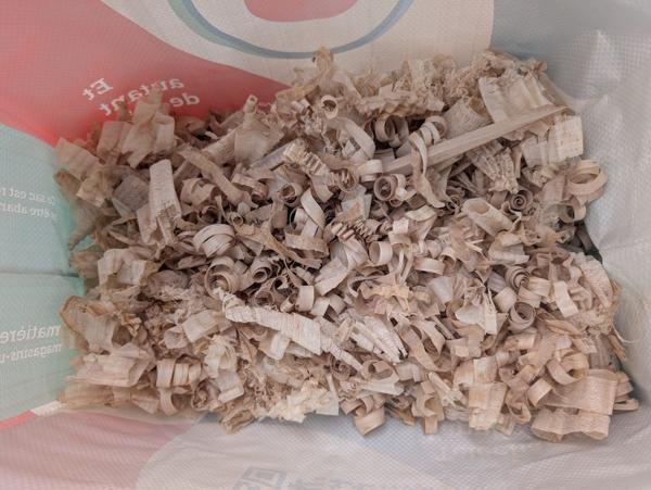 2025-09-09-11-lots-of-shavings-already_600.jpg