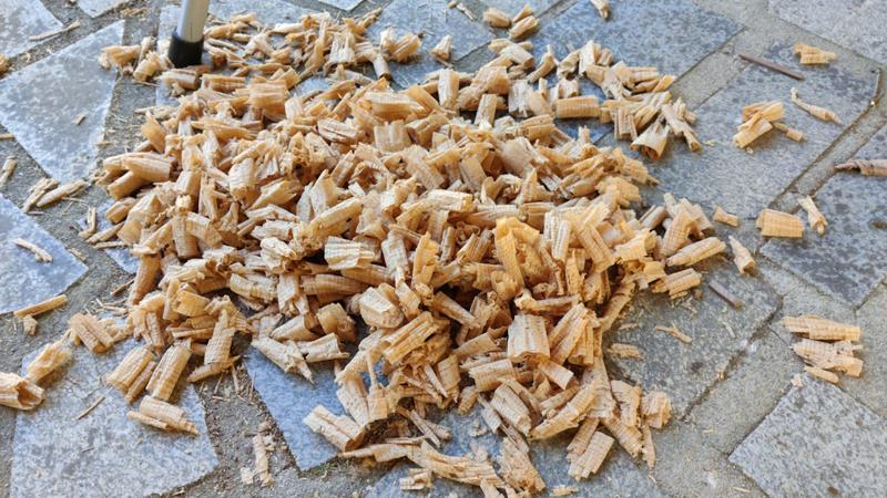 2024-09-14-04-pile-of-shavings_800.jpg