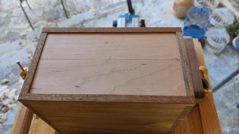 2024-09-17-06-maple-dropped-in-place_800.jpg