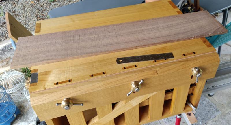 20240909_06_plank_of_walnut_800.jpg