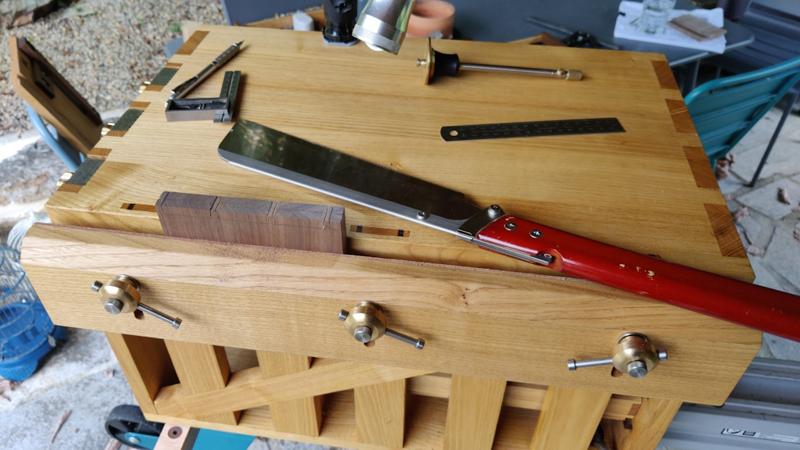 20240909_16_sawn_tails_800.jpg
